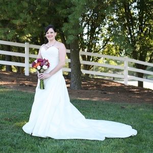 Pronovias Wedding Dress